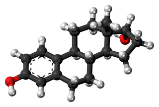 Illustration for article titled How Do Steroids Actually Work?